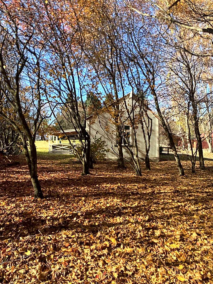 Resort Arrowtown