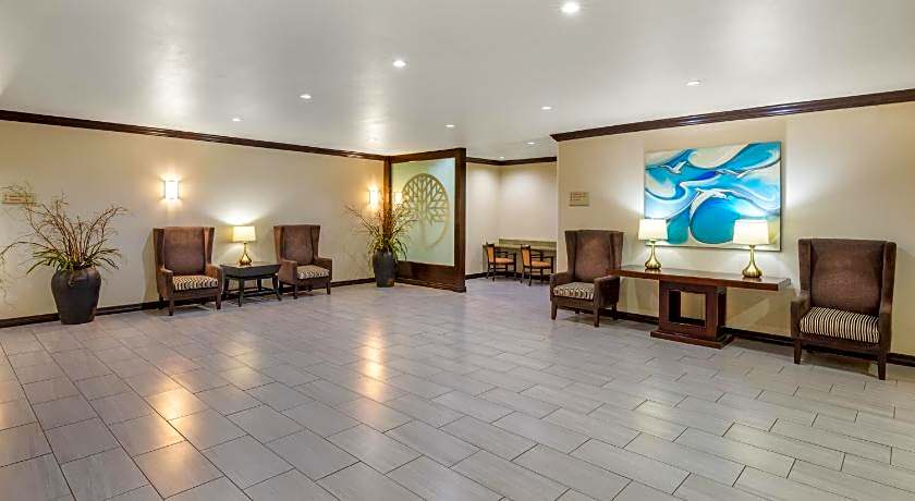 Hawthorn Suites By Wyndham Lubbock