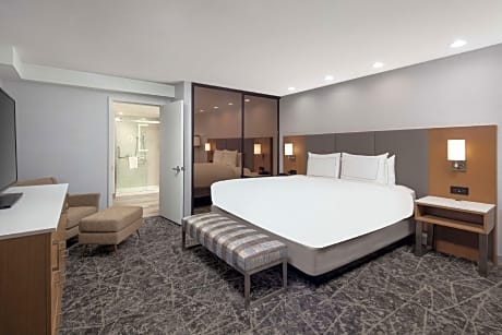1 King Bed 2 Room Suite-Living Area