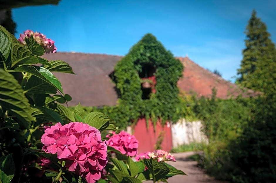 Au Puy Des Vérités