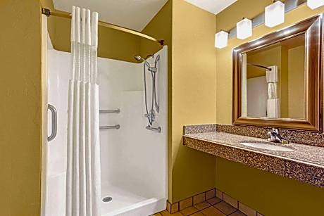 King Room - Disability Access/Non-Smoking