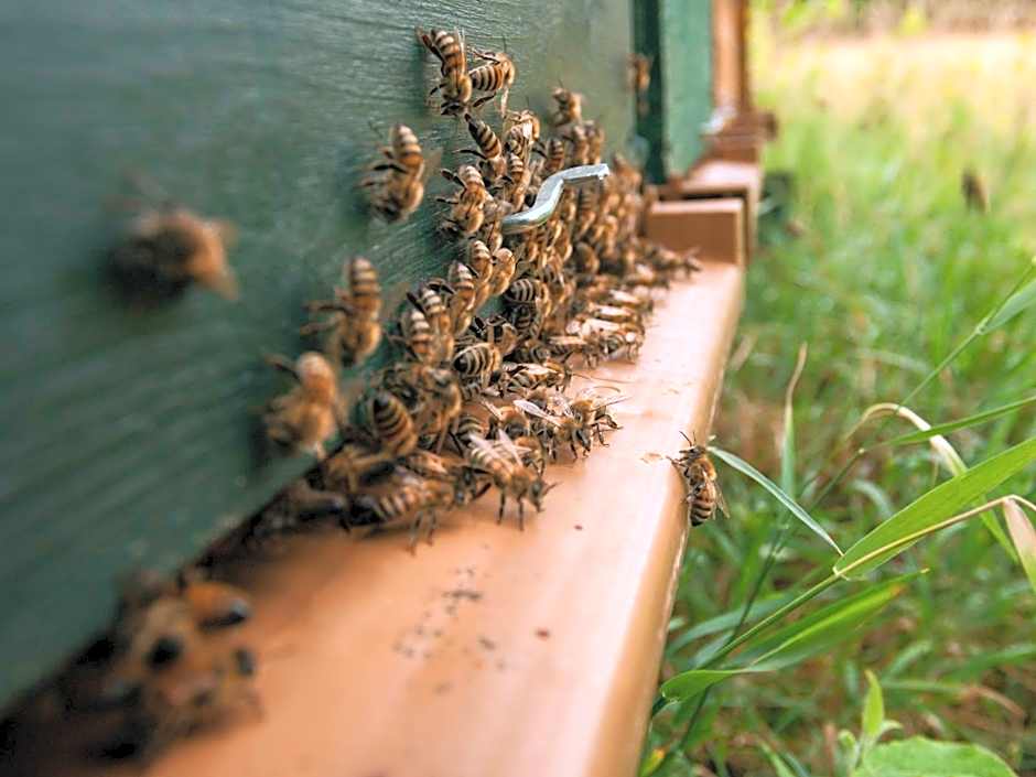 Mercure Aix-les-Bains Domaine de Marlioz