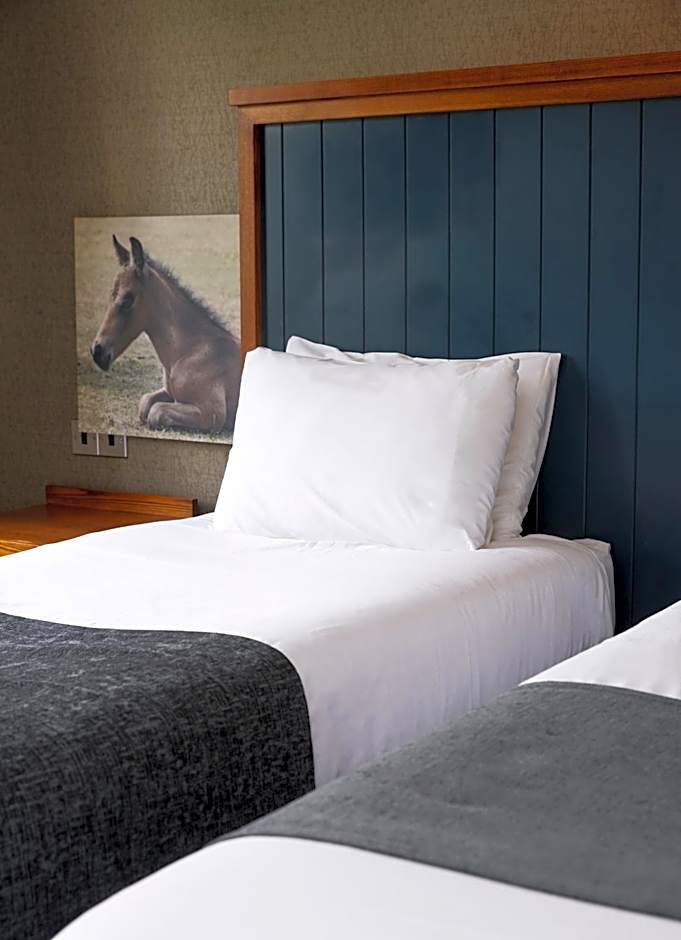 White Rabbit by Chef & Brewer Collection