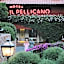 Il Pellicano