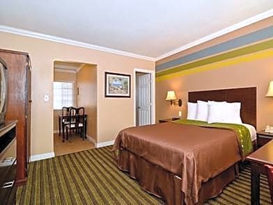 1 Bedroom Suite