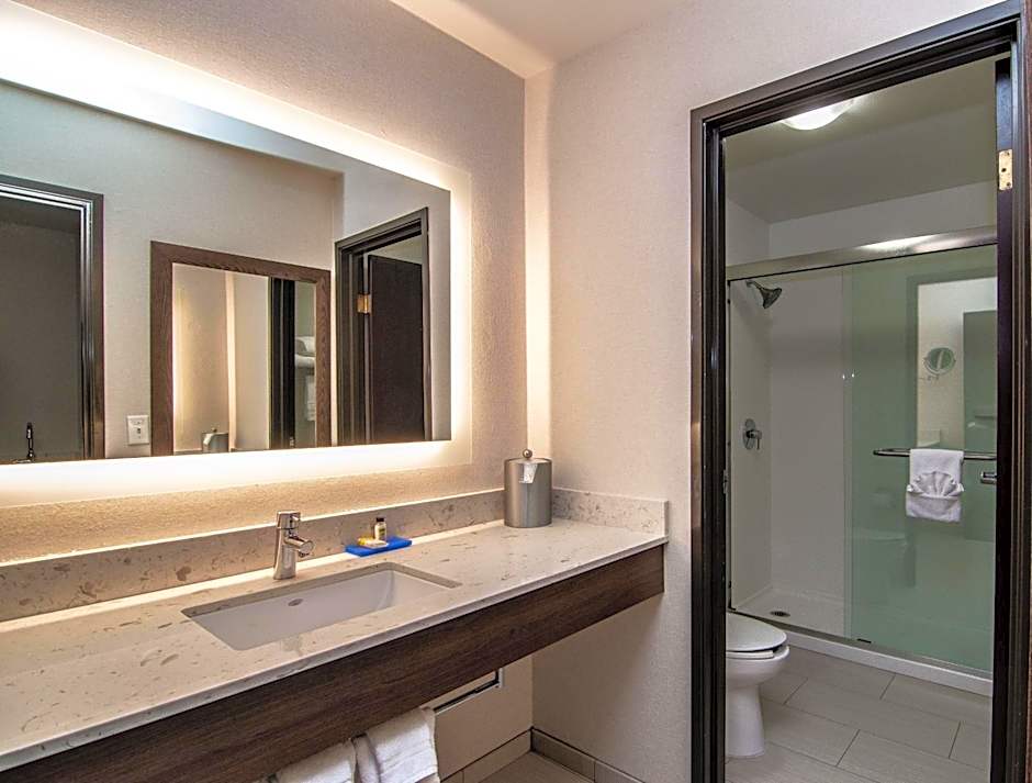Holiday Inn Express Spokane-Downtown By IHG