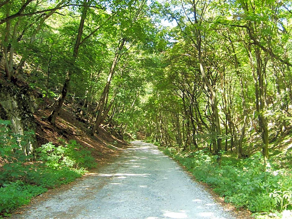 Alabástrom Panzió és Étterem