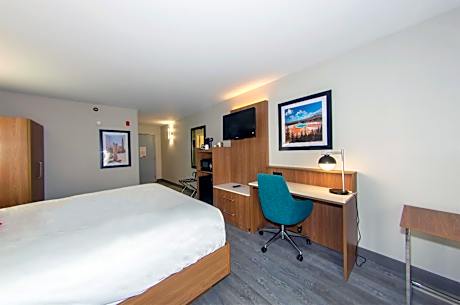 Deluxe One Queen Bed Pet Friendly