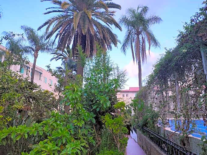 Hotel El Djazair