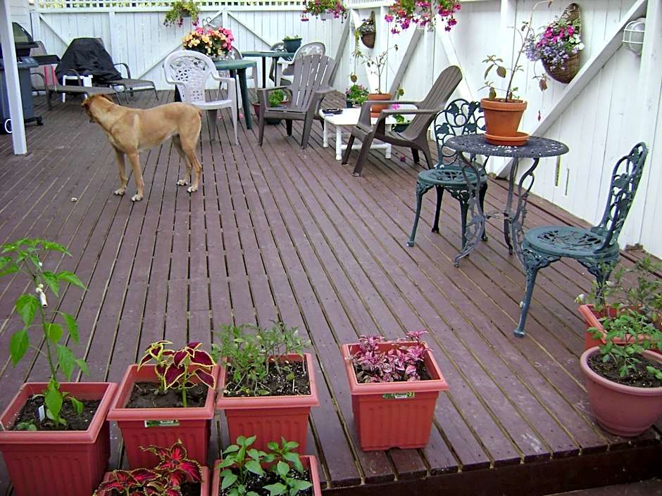 Lakelawn B&B and Motel