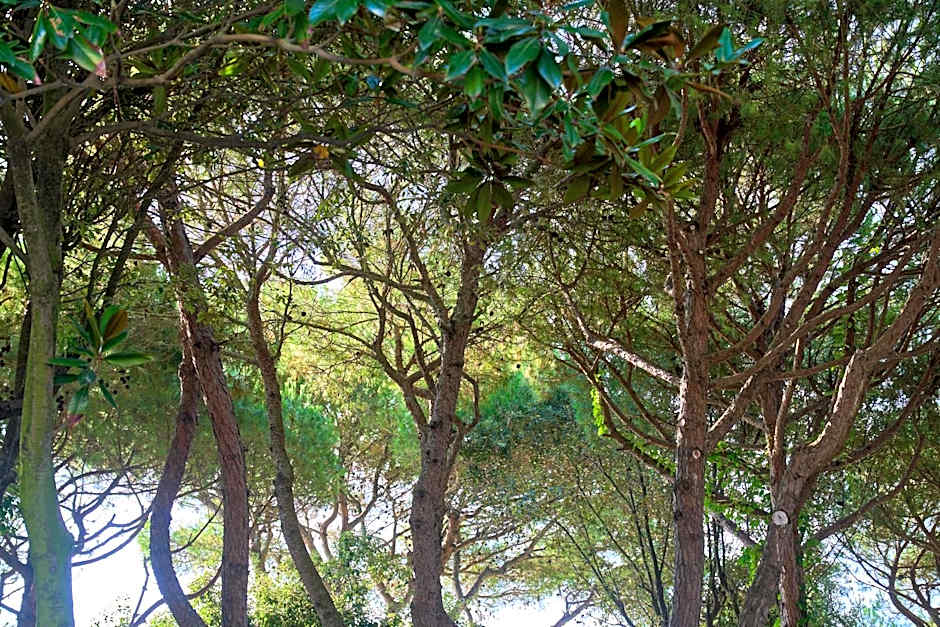 Hotel Viña del Mar Pineta