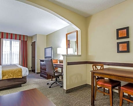 1 King Bed, Suite, Nonsmoking