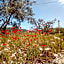 Ostello del Bigallo