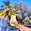 Peppers Beach Club Hotel Port Douglas