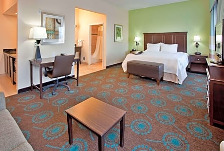 1 King Studio Suite W/Fridge Nonsmoking