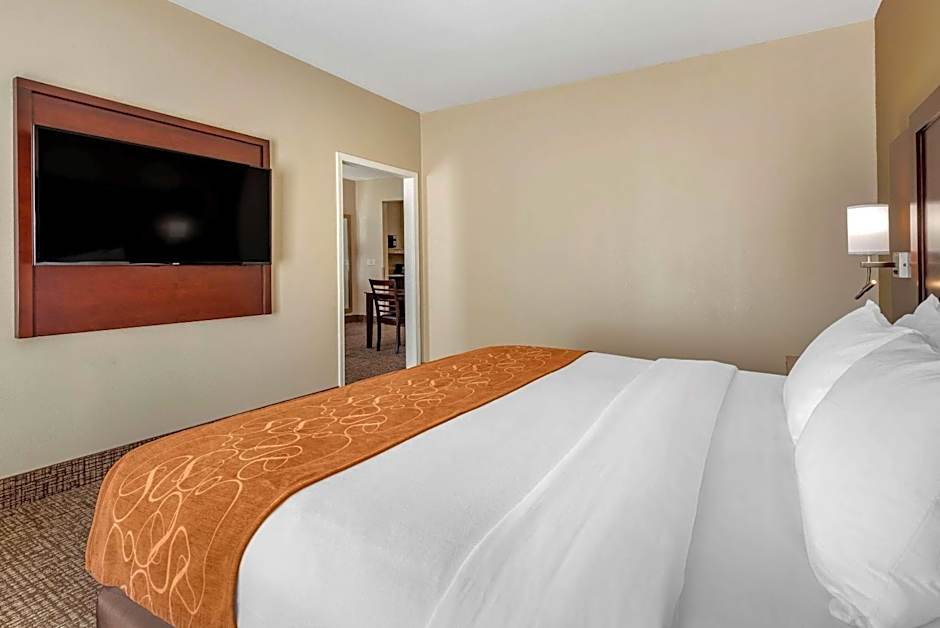 Comfort Suites Auburn near I-69