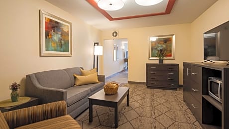 Suite-1 King Bed - Non-Smoking, 2 Rooms, Sofabed, 2 Flat Screen Tvs, Microwave And Refrigerator, Wi-Fi, Full Breakfast