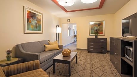 Suite-1 King Bed Non-Smoking 2 Rooms Sofabed 2 Flat Screen Tvs Microwave And Refrigerator Wi-F