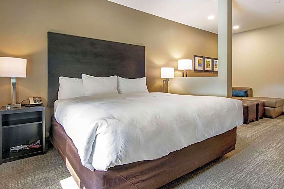 Comfort Suites Wooster near University Campus