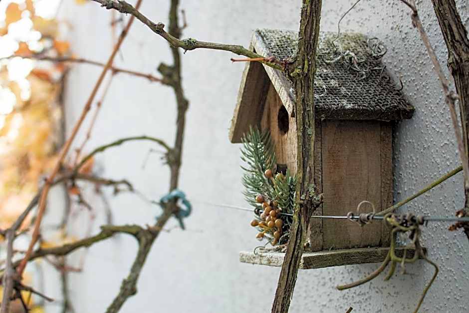 Art & Nature Apartments in der Nähe FFM-Messe
