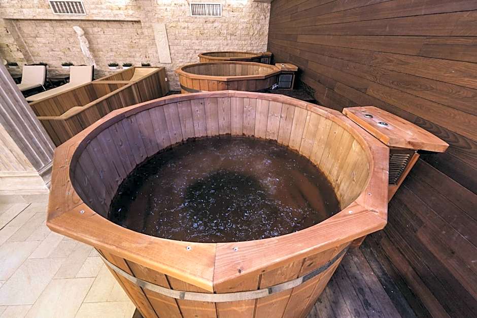 Therma Palace - SPA Mineral Pool & All inclusive & Free Parking