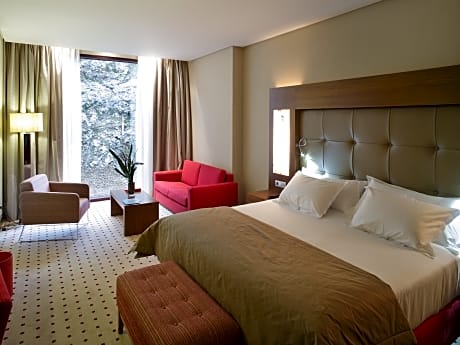 double room single use