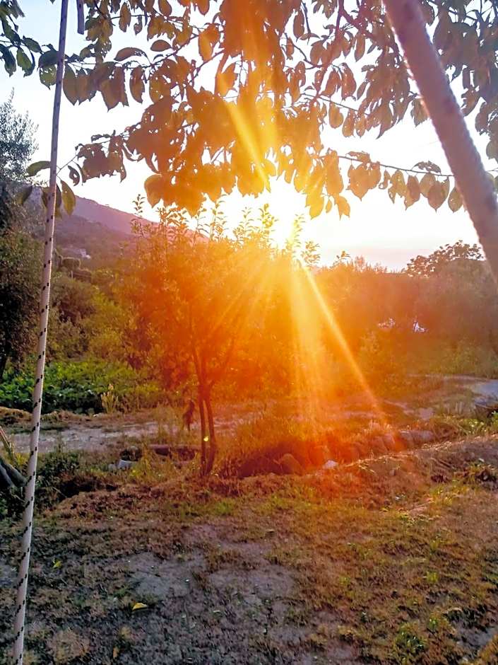 L'Angolo di Campagna