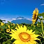 Midtown Niseko