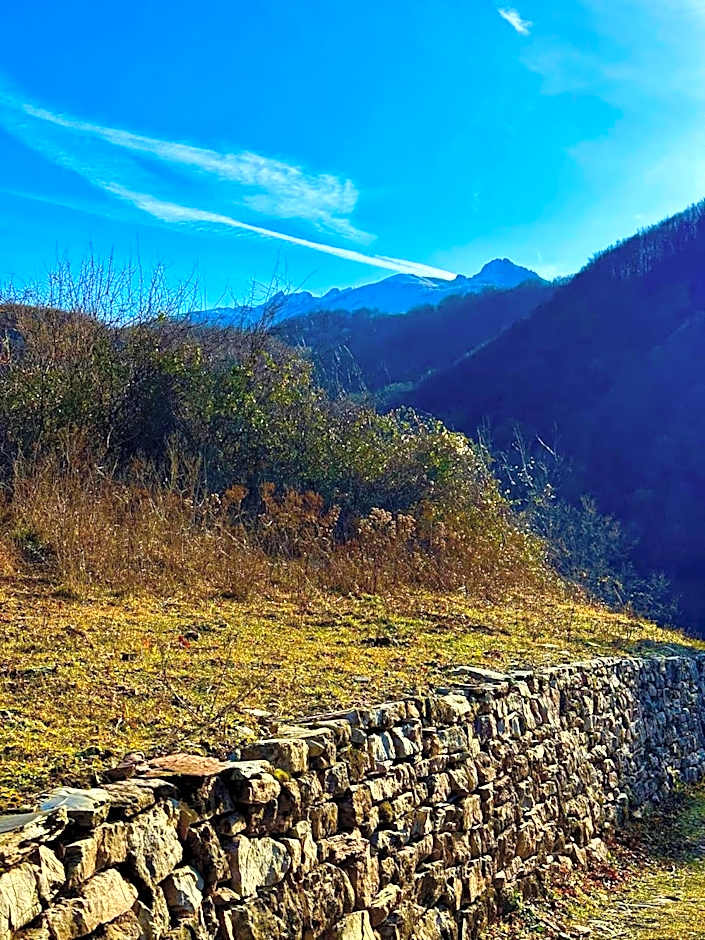 Viandanti, Artisti e Sognatori