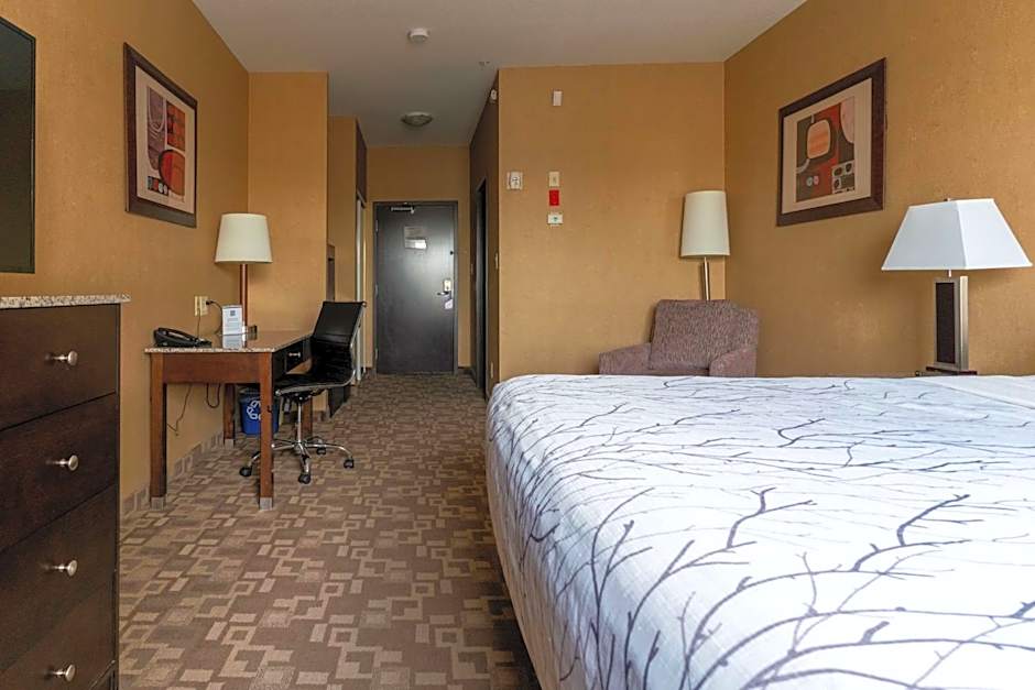 Best Western Plus South Edmonton Inn & Suites