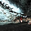 Hotel Skaftafell
