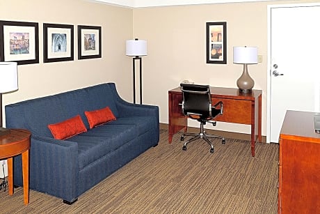 Superior King Suite - Non-Smoking