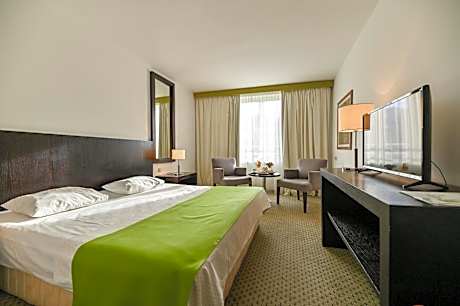 Standard Double Room with City View