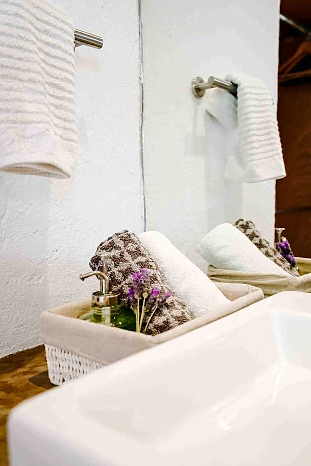 Luxury House Malinalco