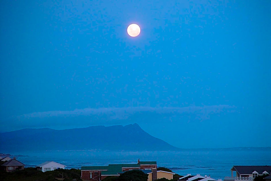 Jack's Seaview
