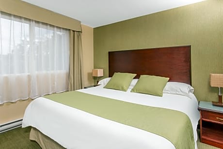 King Suite - Pet Friendly/Non-Smoking