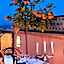 Riad Le Jardin d'Abdou