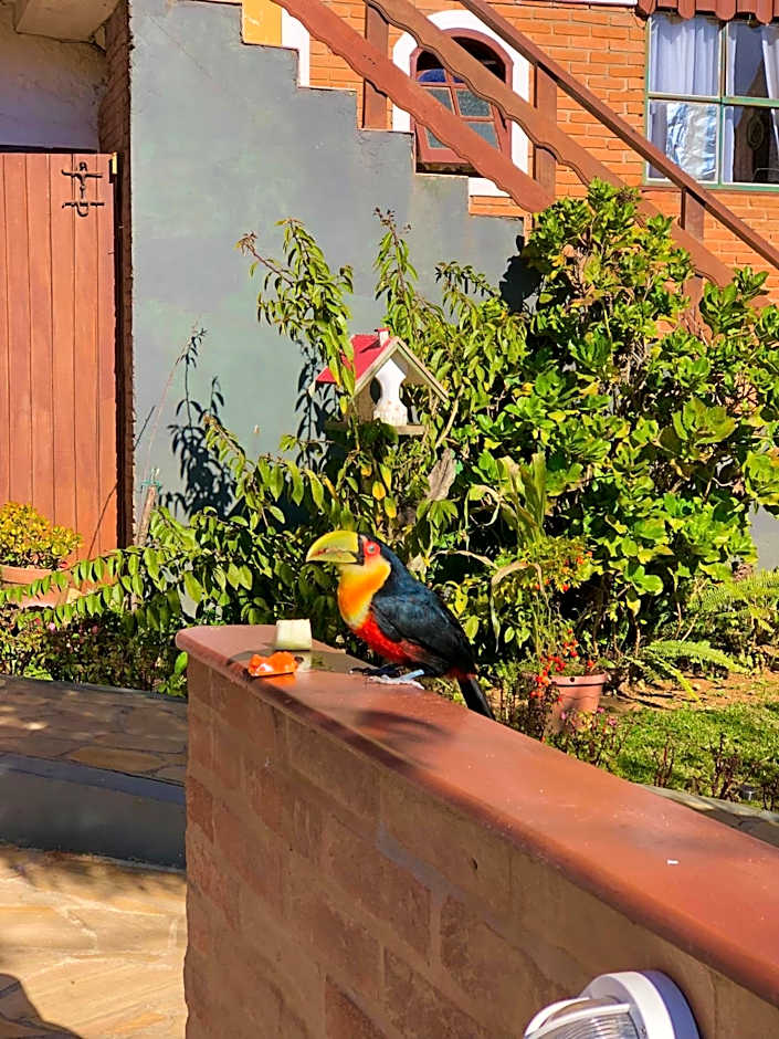 Pousada Palma Chalés