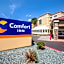 Comfort Inn Flagstaff Lucky Lane I-40