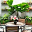 Cheng Ho Hotel