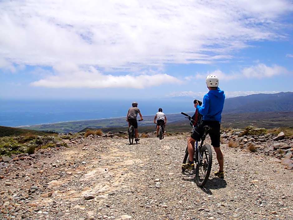 Bazils hostel & Surf School