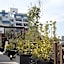 Act Hotel Roppongi