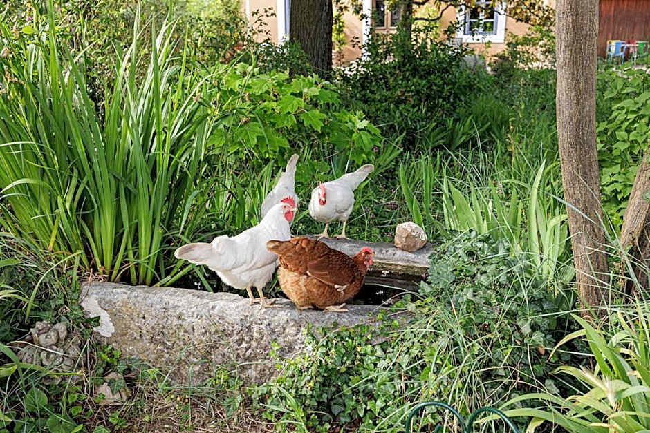 La Glacière, ostalarià agricol