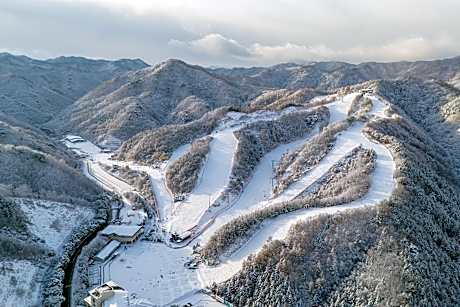 Elysian Gangchon Resort