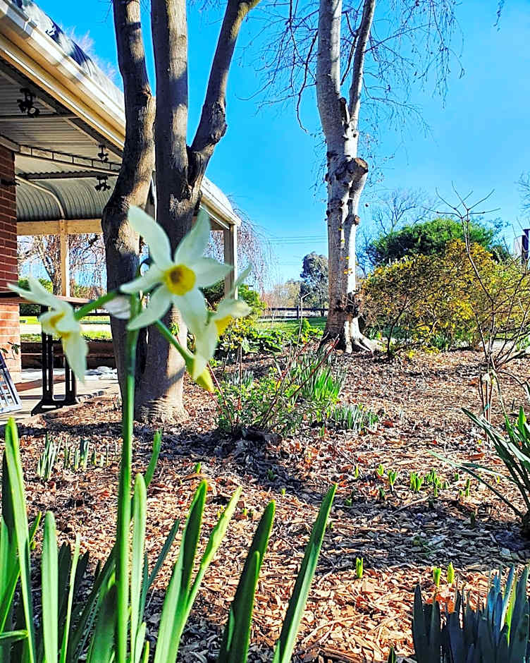 The Lancefield Lodge