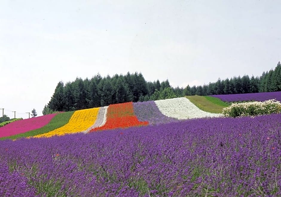 New Furano Hotel