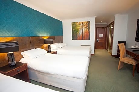 Executive Twin Room