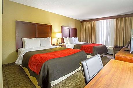 Double Room with Two Double Beds