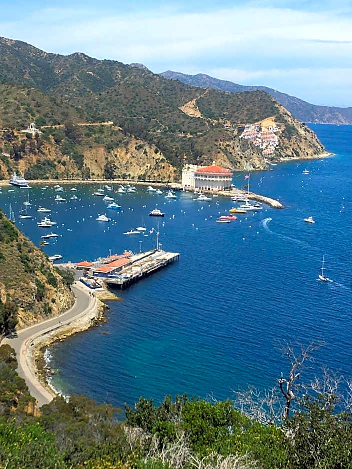 The Avalon Hotel in Catalina Island