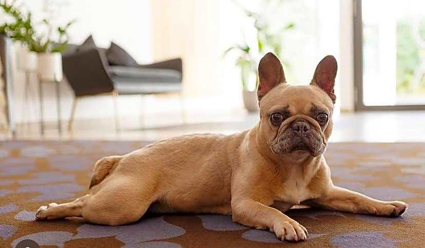 Hotel An der Wasserburg